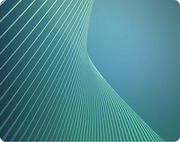 XX Lorem ipsum doloro